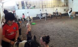 Caj Ete 2016   051